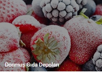 DONMUŞ GIDA DEPOLARI